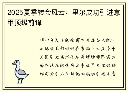 2025夏季转会风云:里尔成功引进意甲顶级前锋 2025夏季转会风云:里尔成功引进意甲顶级前锋