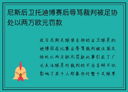 尼斯后卫托迪博赛后辱骂裁判被足协处以两万欧元罚款 尼斯后卫托迪博赛后辱骂裁判被足协处以两万欧元罚款